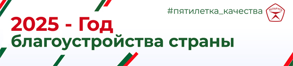 Год благоустройства