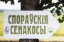 Член Совета Республики В.Чайчиц принял участие в фестивале
