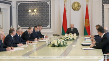 Член Совета Республики А.Кушнаренко принял участие в совещании у Главы государства по вопросам топливно-энергетического комплекса
