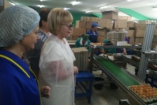 Член Совета Республики Т.Шатликова посетила Кобринскую птицефабрику