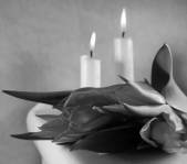 Председатель Совета Республики Наталья Кочанова выразила соболезнования Председателю Сената Конгресса Республики Филиппины 
