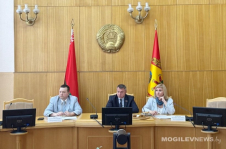 Член Совета Республики А.Горошкин принял участие в совещании Координационного Совета общественных объединений и политических партий Могилевской области