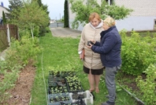 Член Совета Республики Е.Серафинович провела прием граждан
и прямую телефонную линию
